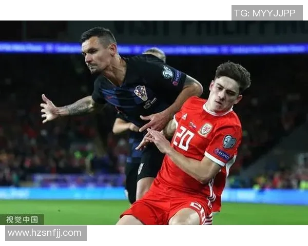 威尔士与斯洛伐克精彩对决视频回顾与分析